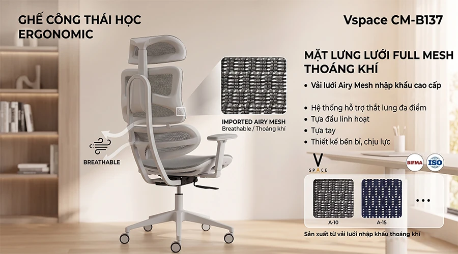 Kinh nghiệm chọn mua ghế công thái học: 5 tiêu chí bạn nhất định phải biết